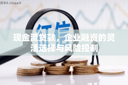 崇明现金流贷款，企业融资的灵活选择与风险控制