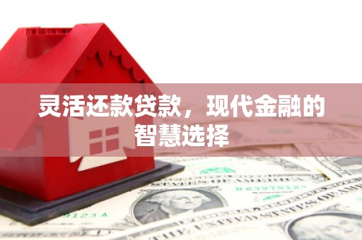 崇明灵活还款贷款，现代金融的智慧选择