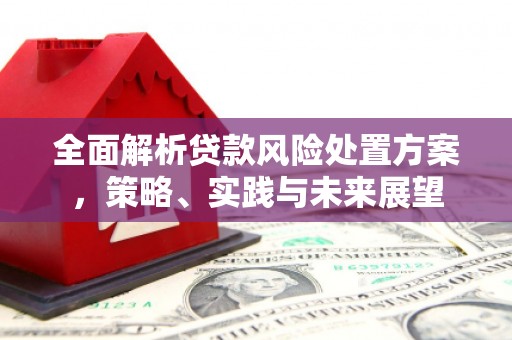 崇明全面解析贷款风险处置方案，策略、实践与未来展望