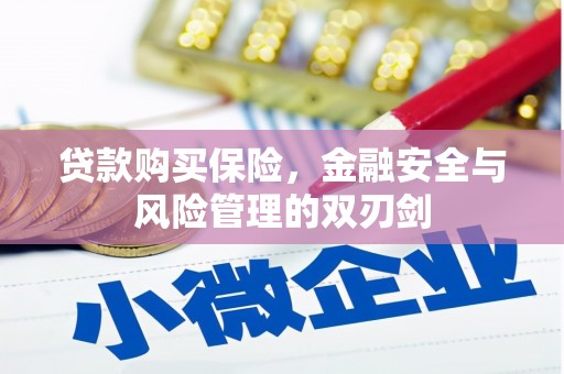 崇明贷款购买保险，金融安全与风险管理的双刃剑
