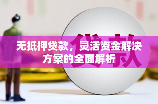 崇明无抵押贷款，灵活资金解决方案的全面解析