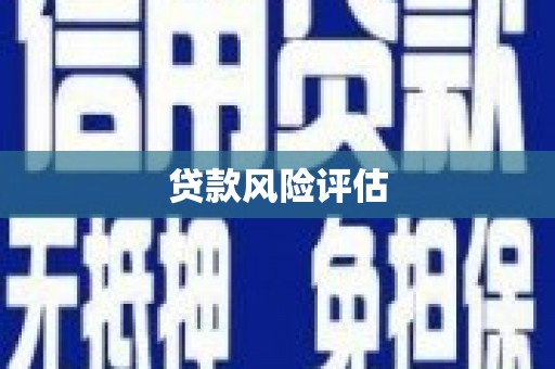 崇明贷款风险评估