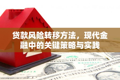 崇明贷款风险转移方法，现代金融中的关键策略与实践