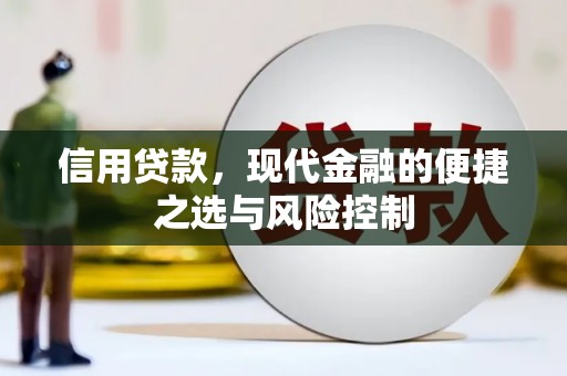 崇明信用贷款，现代金融的便捷之选与风险控制