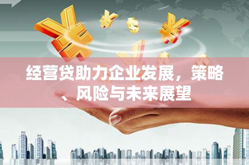 崇明经营贷助力企业发展，策略、风险与未来展望