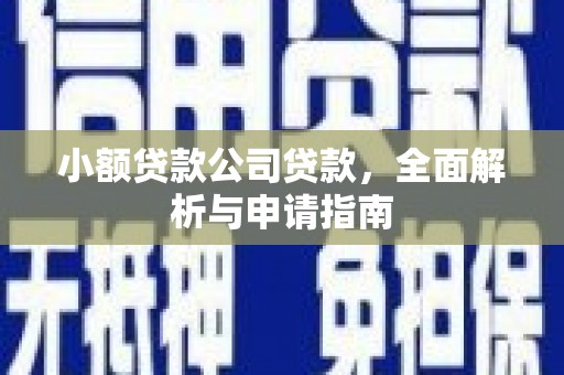 崇明小额贷款公司贷款，全面解析与申请指南