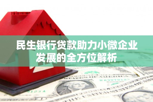 崇明民生银行贷款助力小微企业发展的全方位解析