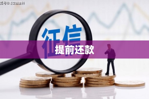 崇明提前还款