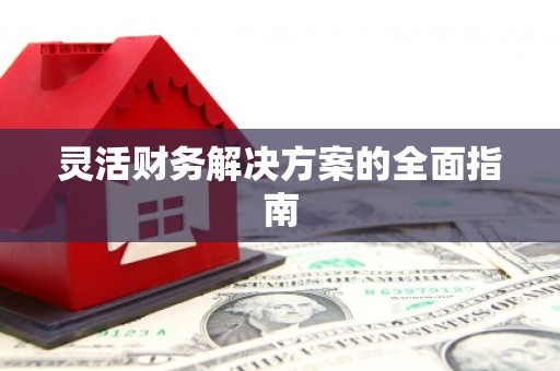 崇明灵活财务解决方案的全面指南