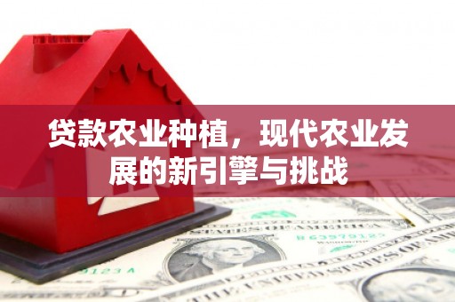 崇明贷款农业种植，现代农业发展的新引擎与挑战