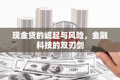 崇明现金贷的崛起与风险，金融科技的双刃剑