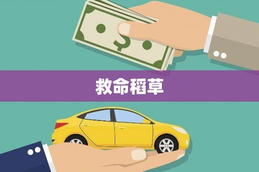 崇明救命稻草