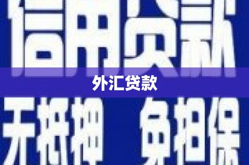 崇明外汇贷款
