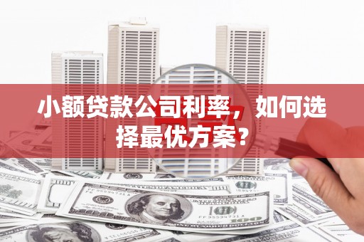 崇明小额贷款公司利率，如何选择最优方案？
