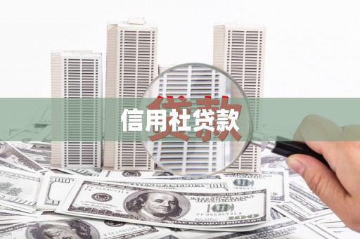 崇明信用社贷款