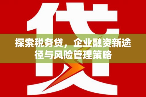 崇明探索税务贷，企业融资新途径与风险管理策略