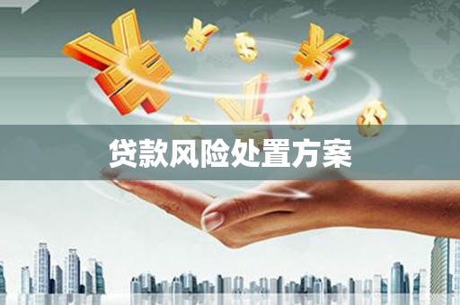 崇明贷款风险处置方案