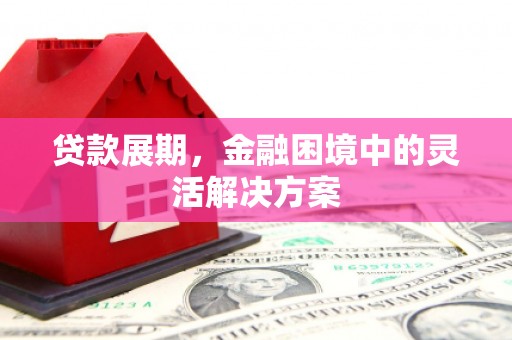 崇明贷款展期，金融困境中的灵活解决方案