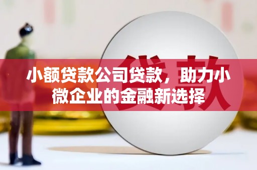 崇明小额贷款公司贷款，助力小微企业的金融新选择