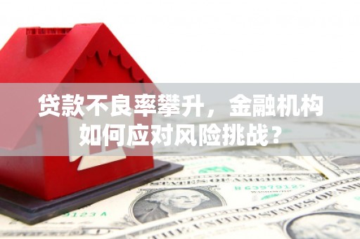 崇明贷款不良率攀升，金融机构如何应对风险挑战？