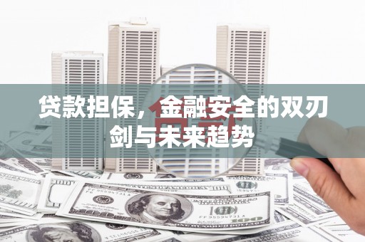 崇明贷款担保，金融安全的双刃剑与未来趋势