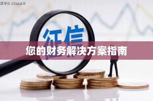 崇明您的财务解决方案指南