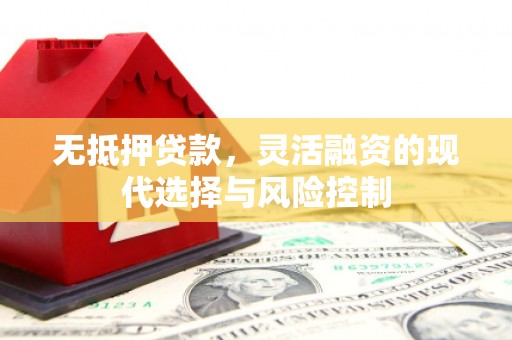 崇明无抵押贷款，灵活融资的现代选择与风险控制