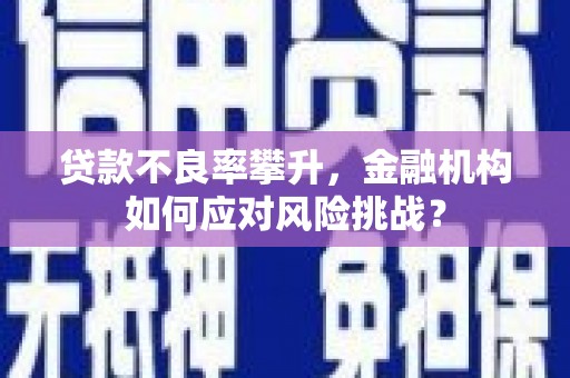 崇明贷款不良率攀升，金融机构如何应对风险挑战？