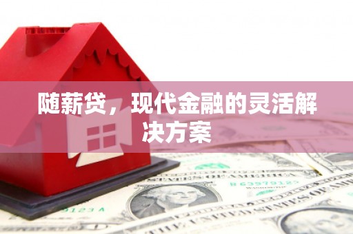 崇明随薪贷，现代金融的灵活解决方案