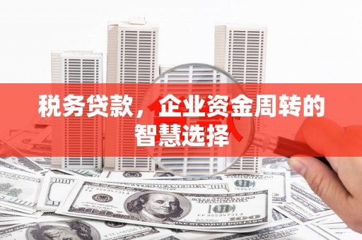 崇明税务贷款，企业资金周转的智慧选择