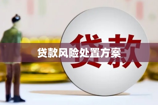崇明贷款风险处置方案