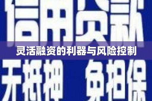 崇明灵活融资的利器与风险控制
