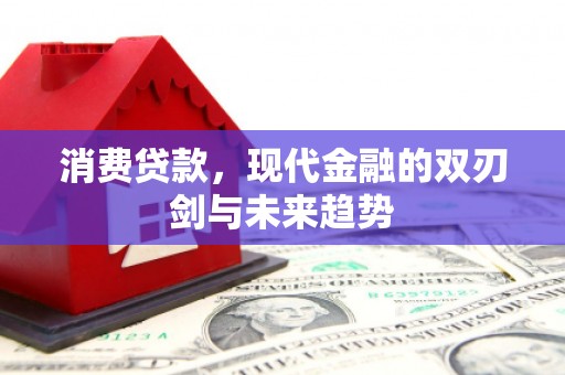 崇明消费贷款，现代金融的双刃剑与未来趋势
