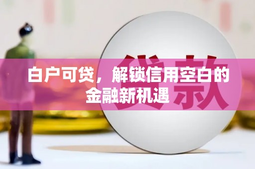 崇明白户可贷，解锁信用空白的金融新机遇