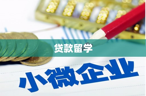 崇明贷款留学