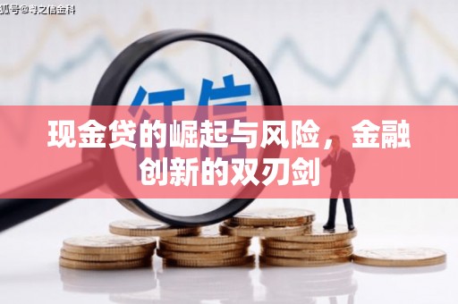 崇明现金贷的崛起与风险，金融创新的双刃剑
