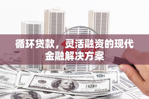 崇明循环贷款，灵活融资的现代金融解决方案