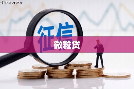 崇明微粒贷