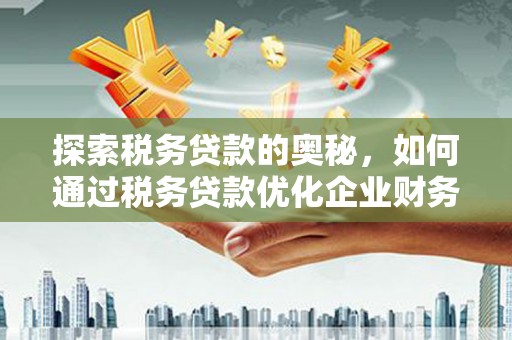 崇明探索税务贷款的奥秘，如何通过税务贷款优化企业财务