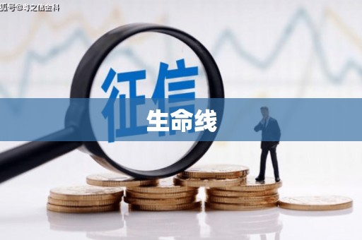 崇明生命线