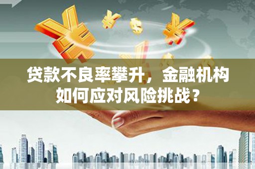 崇明贷款不良率攀升，金融机构如何应对风险挑战？