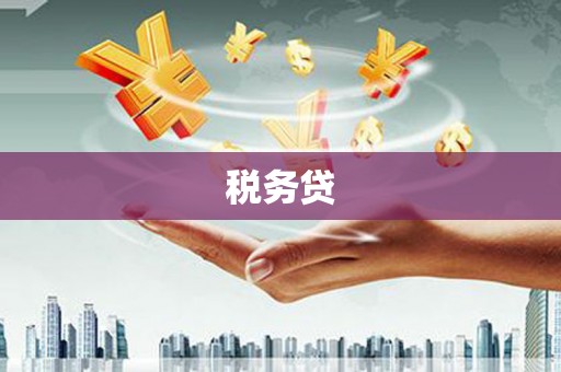 崇明税务贷