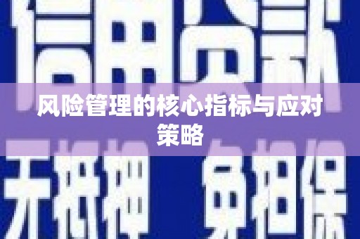 崇明风险管理的核心指标与应对策略
