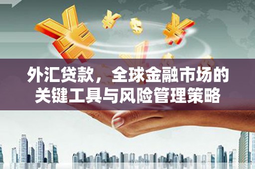 崇明外汇贷款，全球金融市场的关键工具与风险管理策略