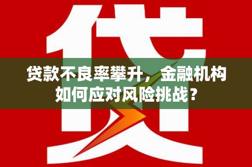 崇明贷款不良率攀升，金融机构如何应对风险挑战？