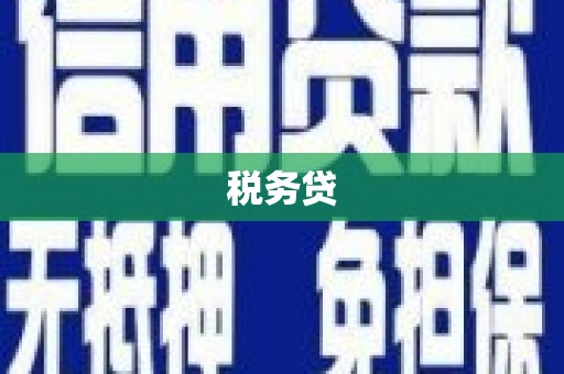 崇明税务贷