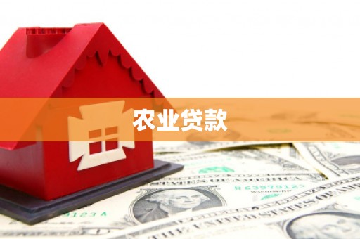 崇明农业贷款