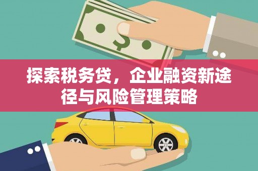崇明探索税务贷，企业融资新途径与风险管理策略