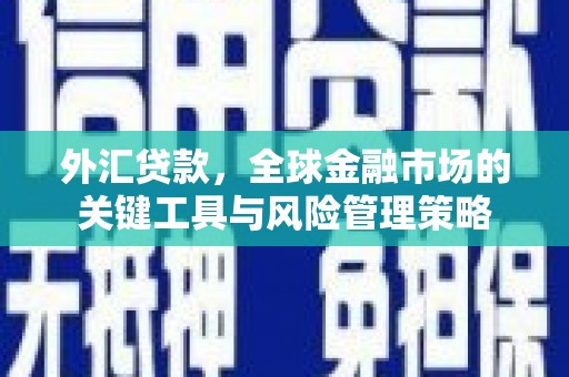 崇明外汇贷款，全球金融市场的关键工具与风险管理策略