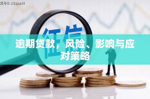 崇明逾期贷款，风险、影响与应对策略